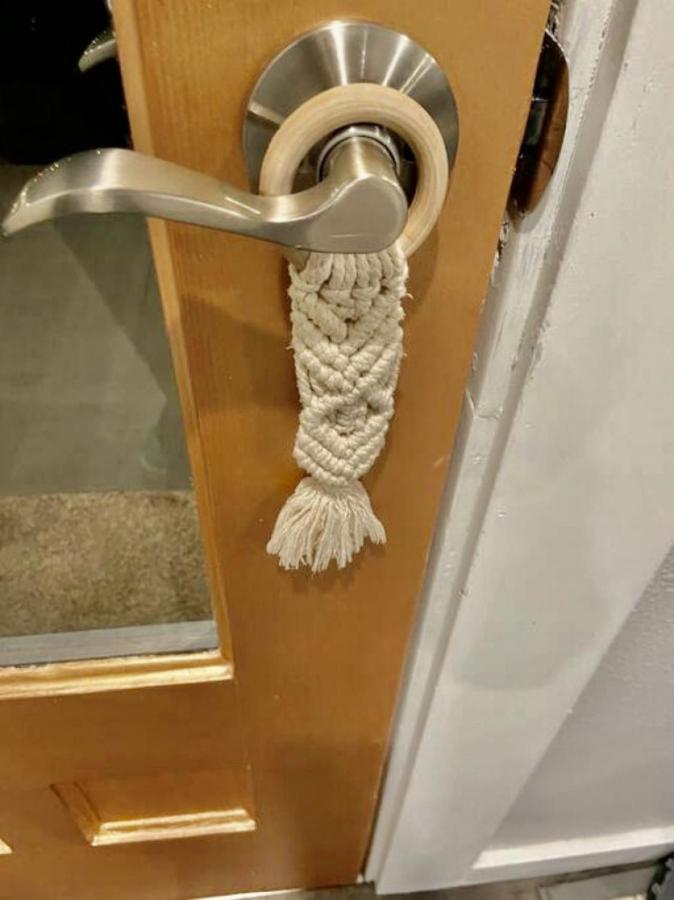 Boutique Apartment In Historic Downtown オールバニ エクステリア 写真
