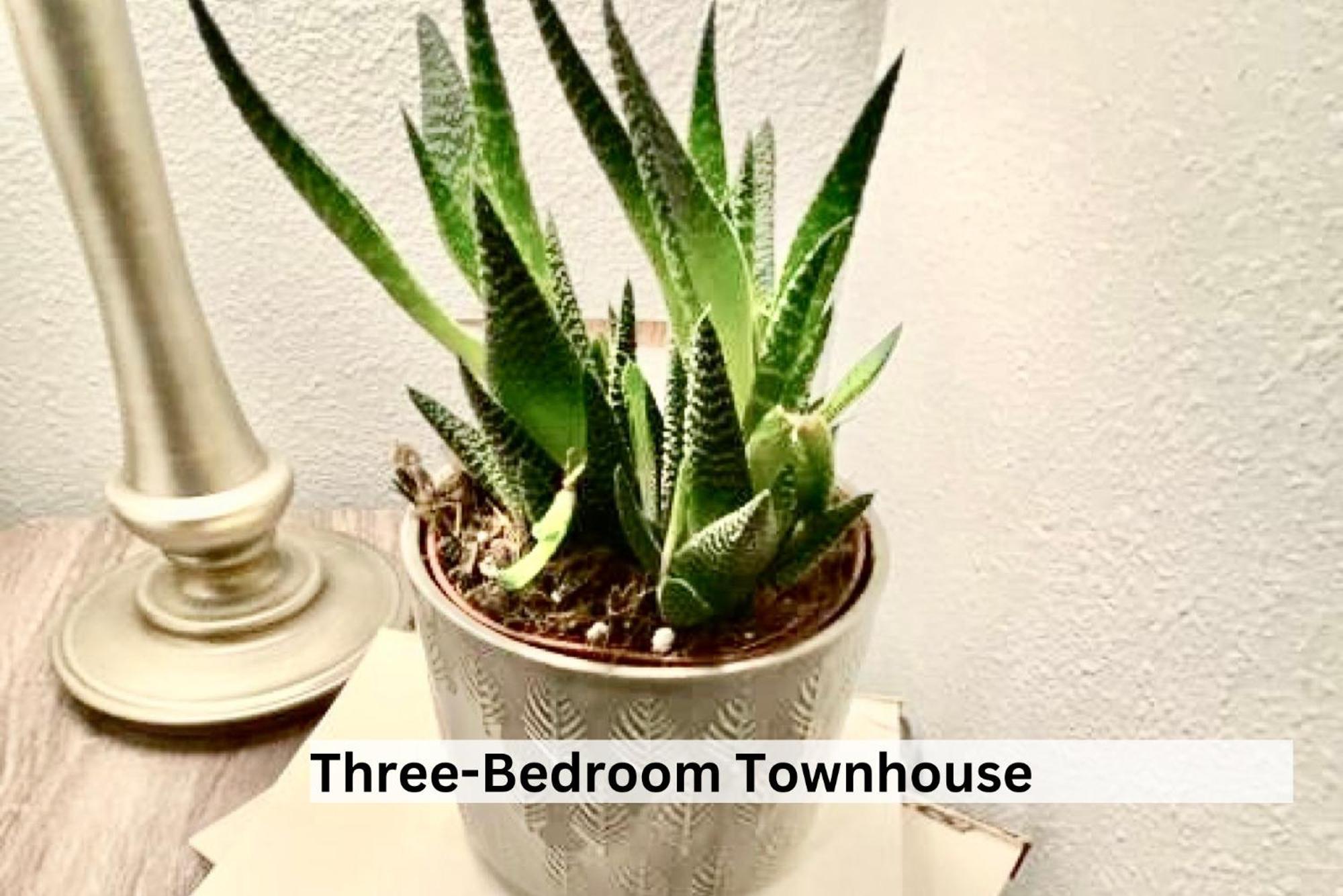 Boutique Apartment In Historic Downtown オールバニ エクステリア 写真